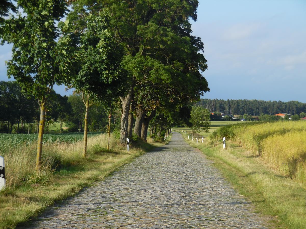 Landhaus Kranichwiese Göhren-Lebbin Exteriér fotografie